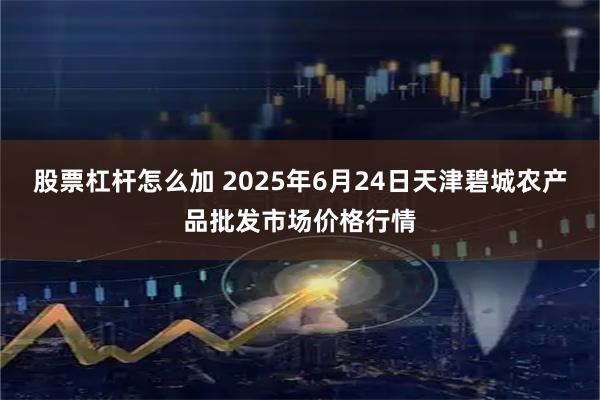 股票杠杆怎么加 2025年6月24日天津碧城农产品批发市场价格行情