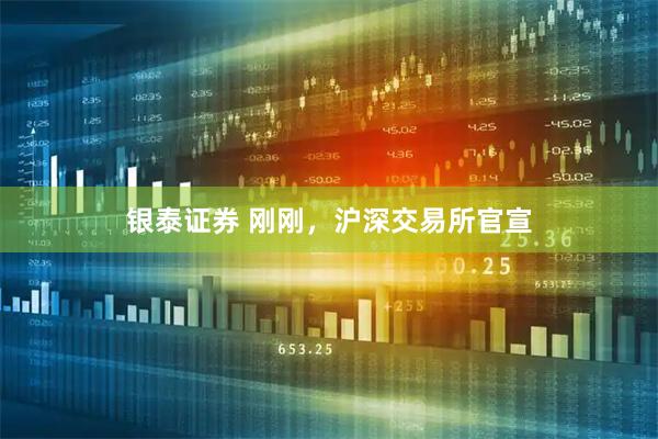 银泰证券 刚刚，沪深交易所官宣