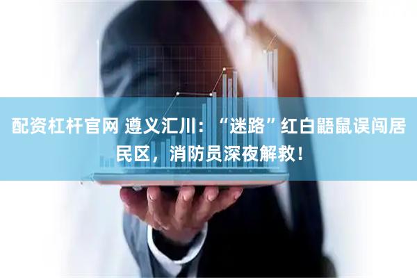 配资杠杆官网 遵义汇川：“迷路”红白鼯鼠误闯居民区，消防员深夜解救！
