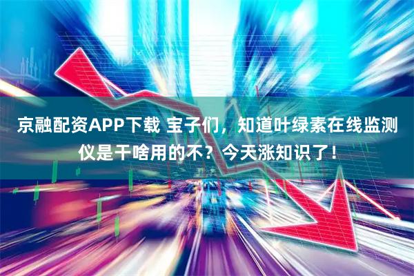 京融配资APP下载 宝子们，知道叶绿素在线监测仪是干啥用的不？今天涨知识了！