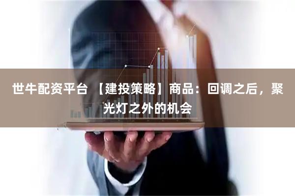世牛配资平台 【建投策略】商品：回调之后，聚光灯之外的机会