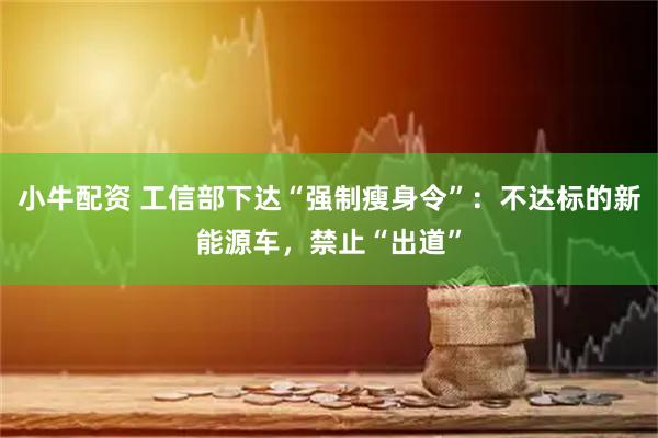 小牛配资 工信部下达“强制瘦身令”：不达标的新能源车，禁止“出道”