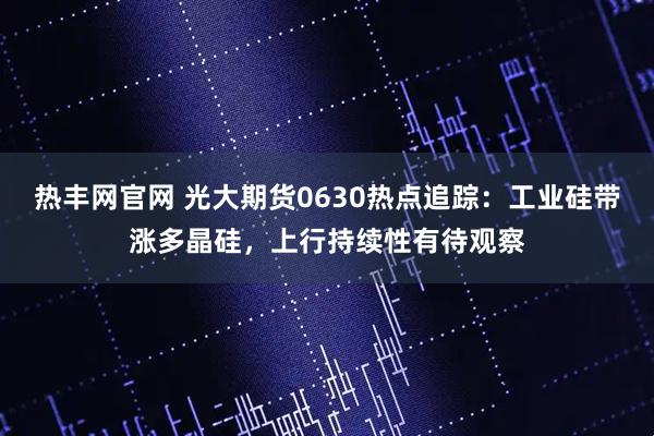 热丰网官网 光大期货0630热点追踪：工业硅带涨多晶硅，上行持续性有待观察