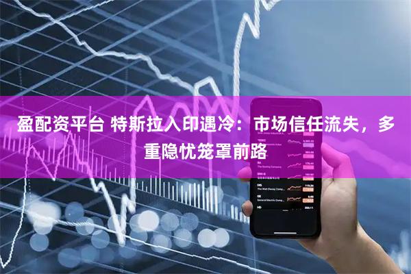 盈配资平台 特斯拉入印遇冷：市场信任流失，多重隐忧笼罩前路